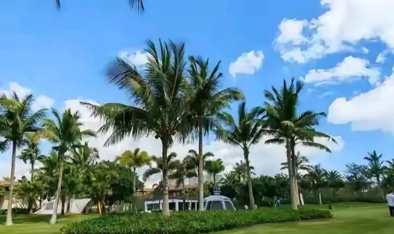 你在海南的房子。欢迎别人去住吗？

对门儿大姐家，在海南有一套小房子，买的早，当