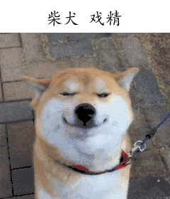 这也太萌化了！
