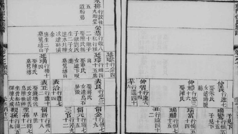 互联网在修谱中的应用