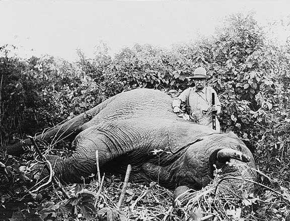 罗斯福卸下总统职位，探索非洲征服亚马逊