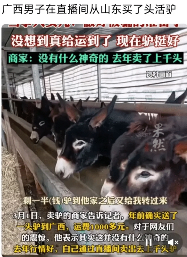 你敢卖，我就敢买！广西一男子发现有人在直播间里卖活驴，他就率性下了一单，后来左思