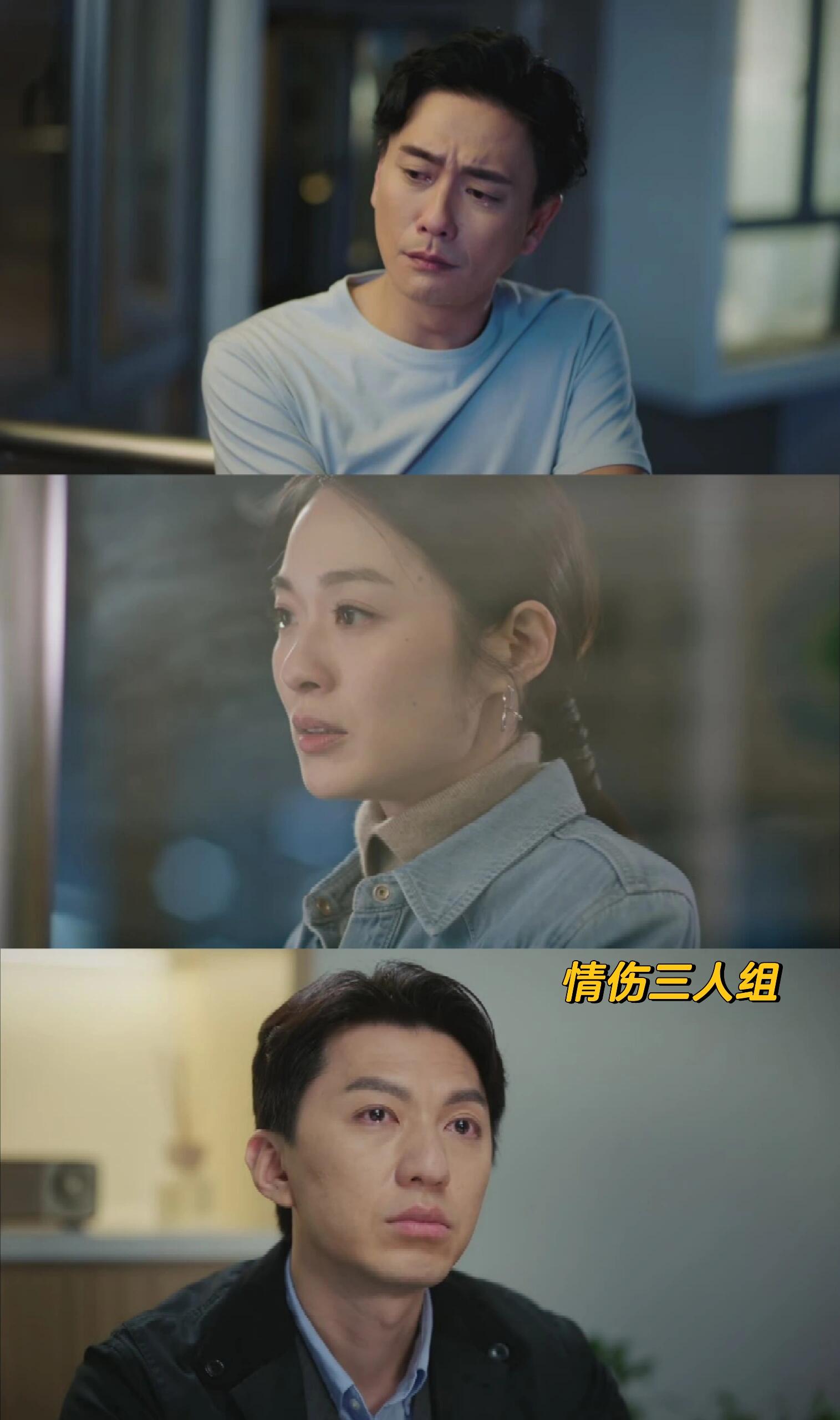 法证先锋6：不太一样的法证剧