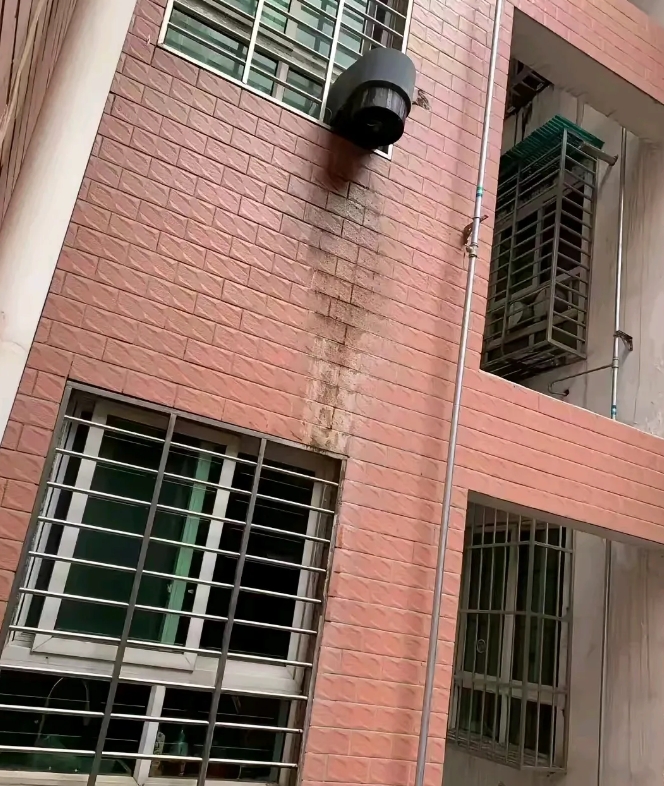 家人们帮我评评理，我都怀疑是上辈子造了什么孽，才摊上这么个邻居。你们瞧瞧，她家这