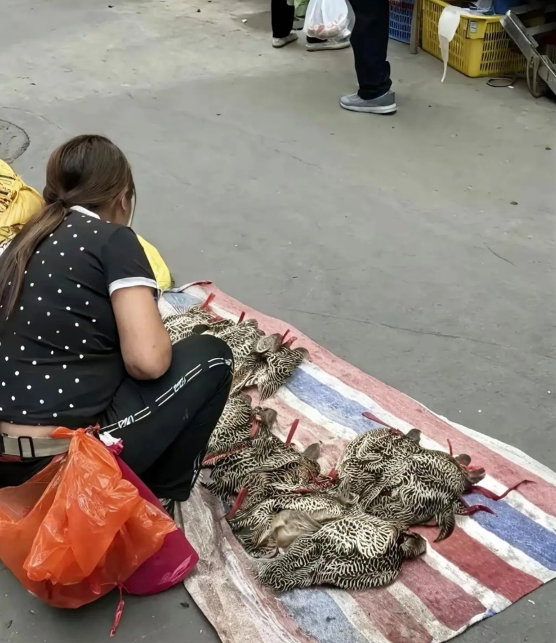 不是大姨你怎么什么都敢卖。这能卖吗？还不赶紧收拾东西跑路啊？这不得进去待个无期啊
