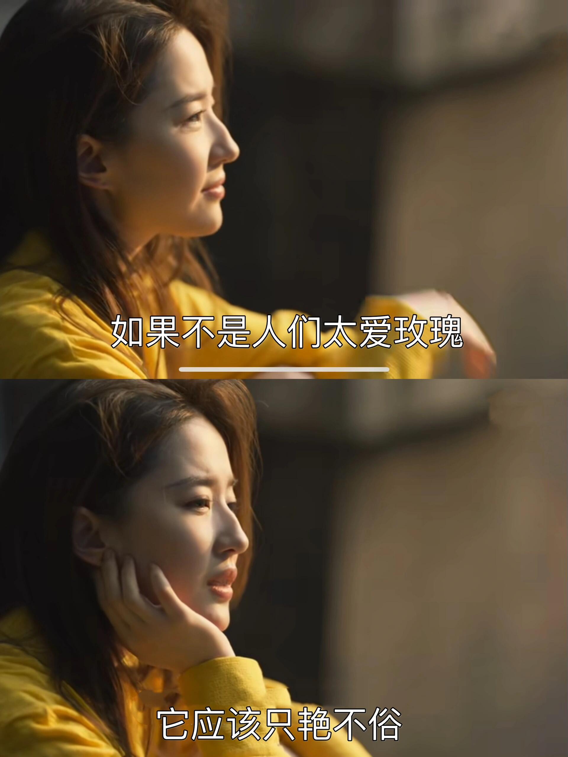玫瑰的故事：为爱而生，不负此生