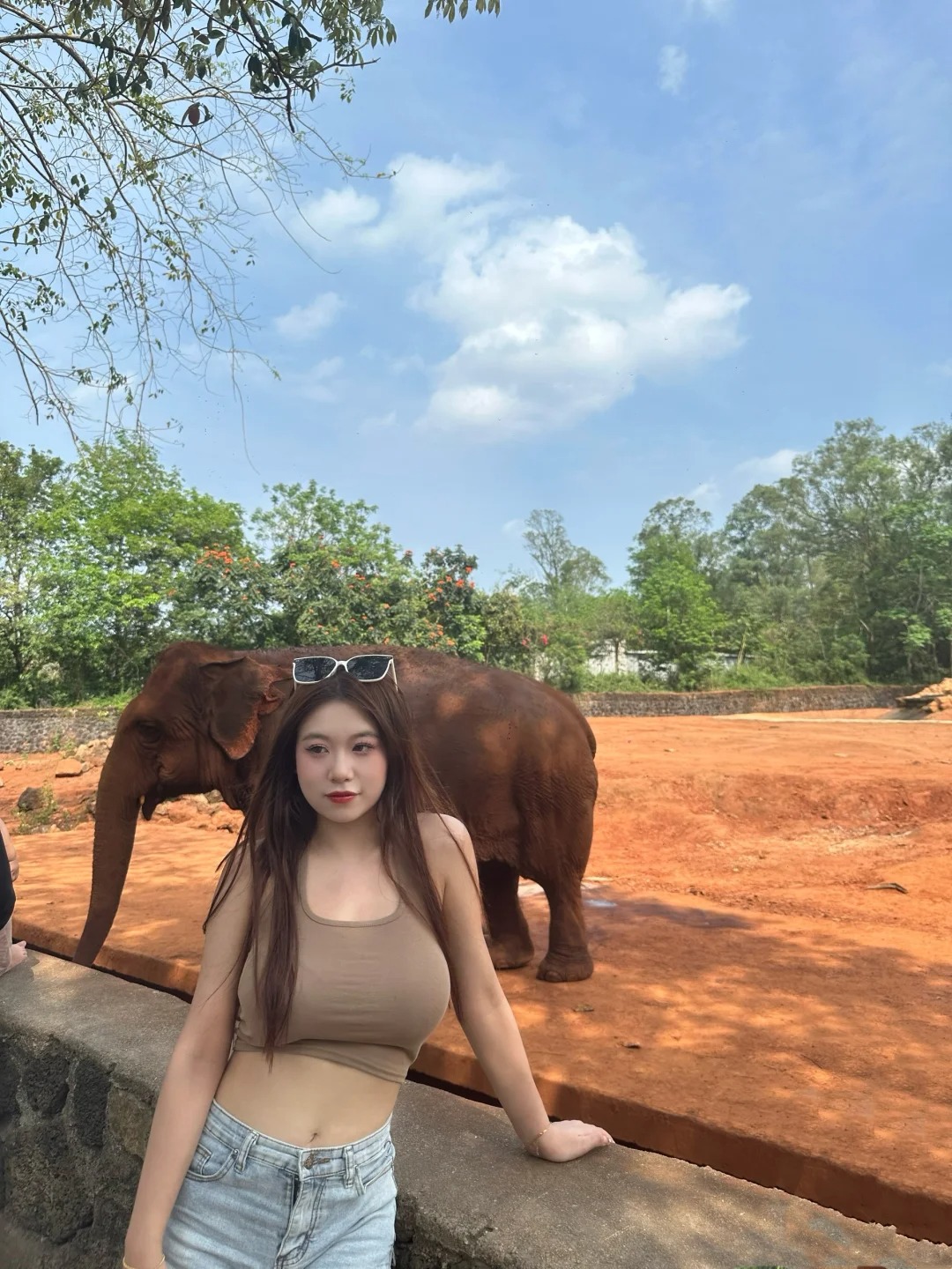 海口｜野生动物园
自然环境太好拍了挺出片，就是路程挺远，海口过去也要一个小时，自