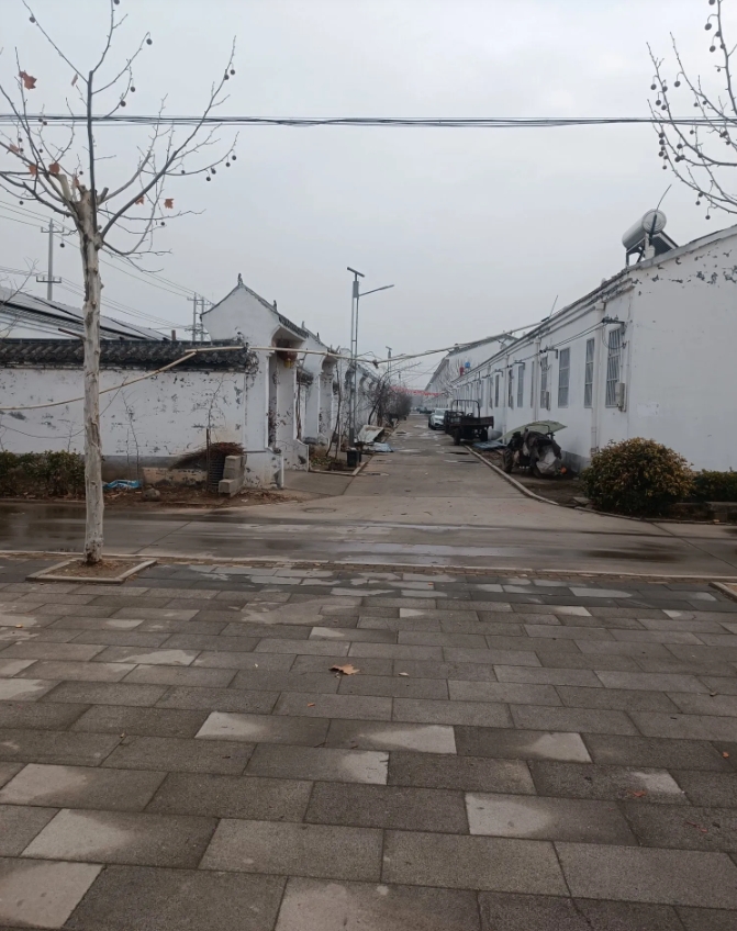 村子里几个做婆婆聚在一起，说话不一会儿，每个人都炫耀儿媳妇给买的年货，有的给买的
