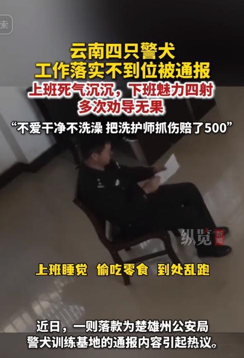 四只警犬犯错 被通报批评了

                         