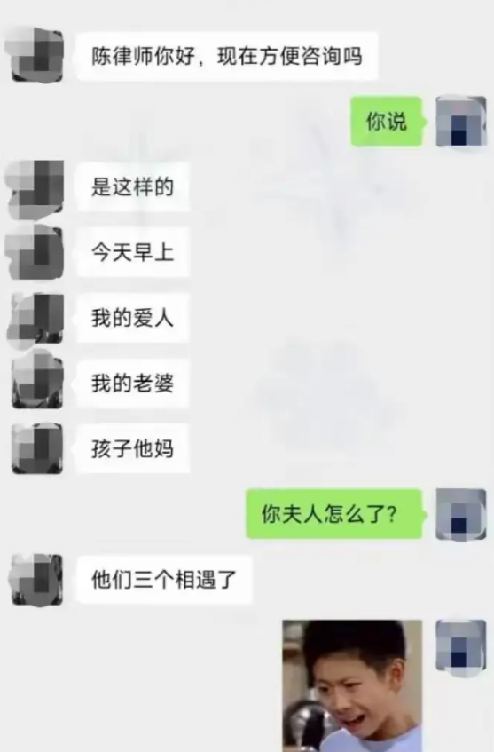 律师：大哥，你这个问题好像没问一样