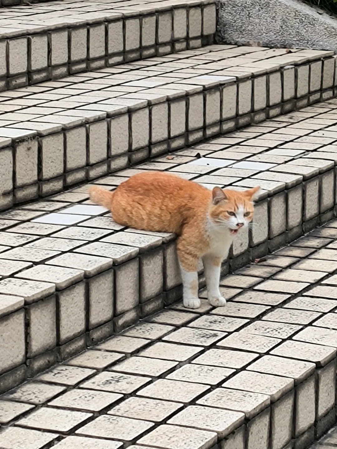 同时坐着站着趴着