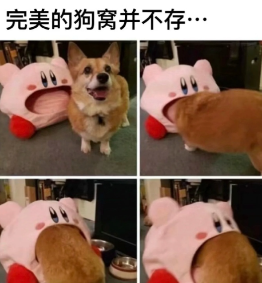 这就很完美了