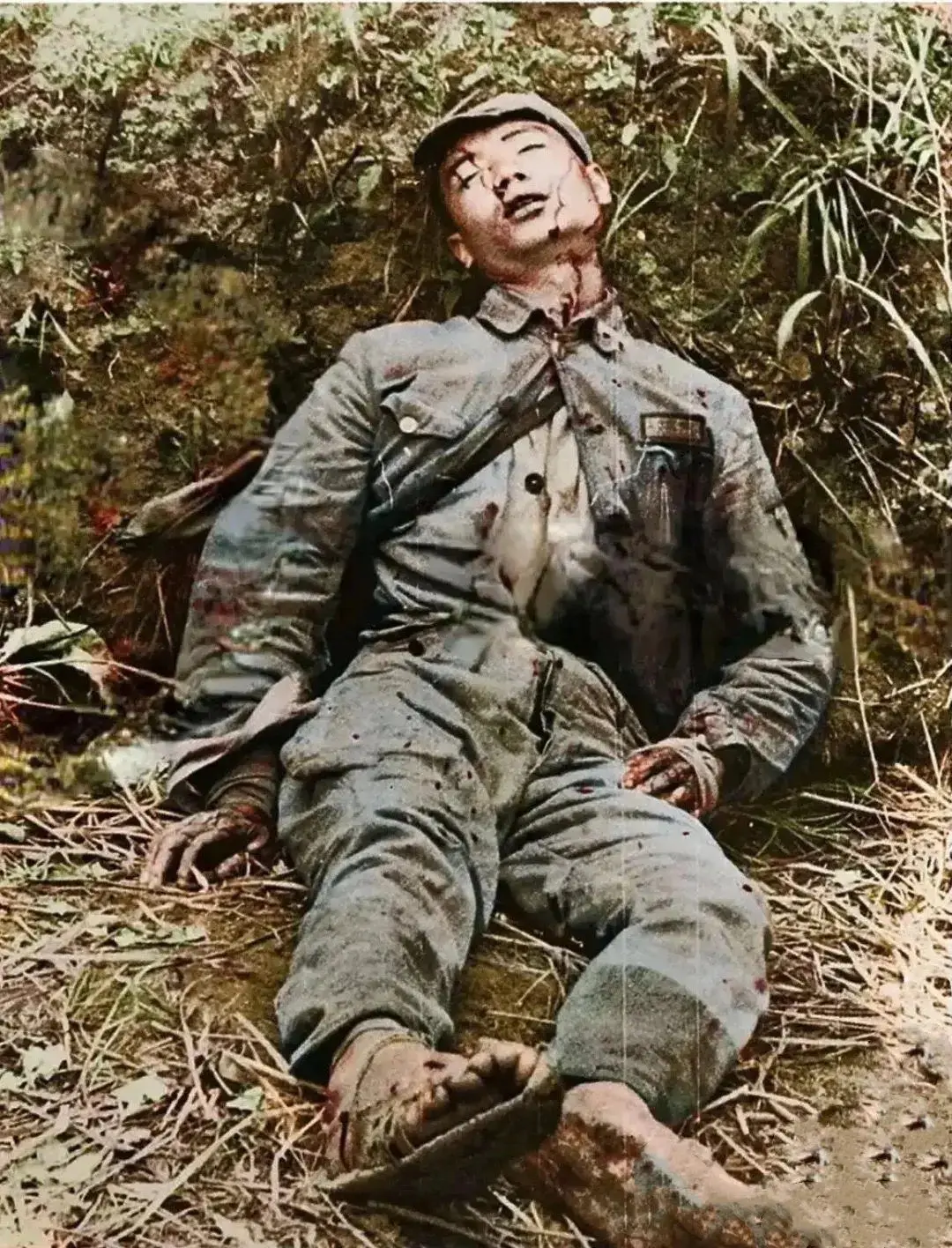 感谢他们的英勇付出和流血牺牲