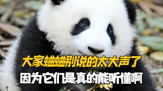 蛐蛐，此虫鸣于夏夜，其声唧唧