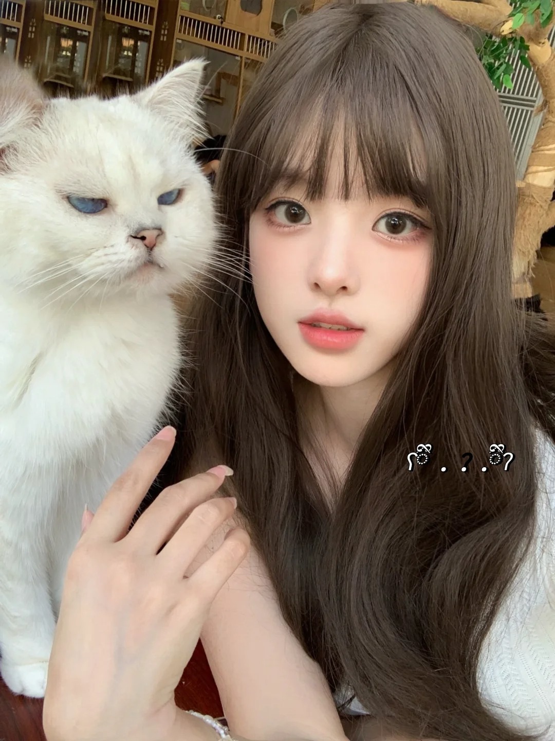 去猫咪咖啡厅
和猫猫合照啦
好配合哈哈哈但是一脸懵逼的～