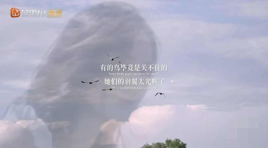黄圣依，闷声干大事，讽刺杨子。
黄圣依没下车，她说：“《肖申克的救赎》正好有一句