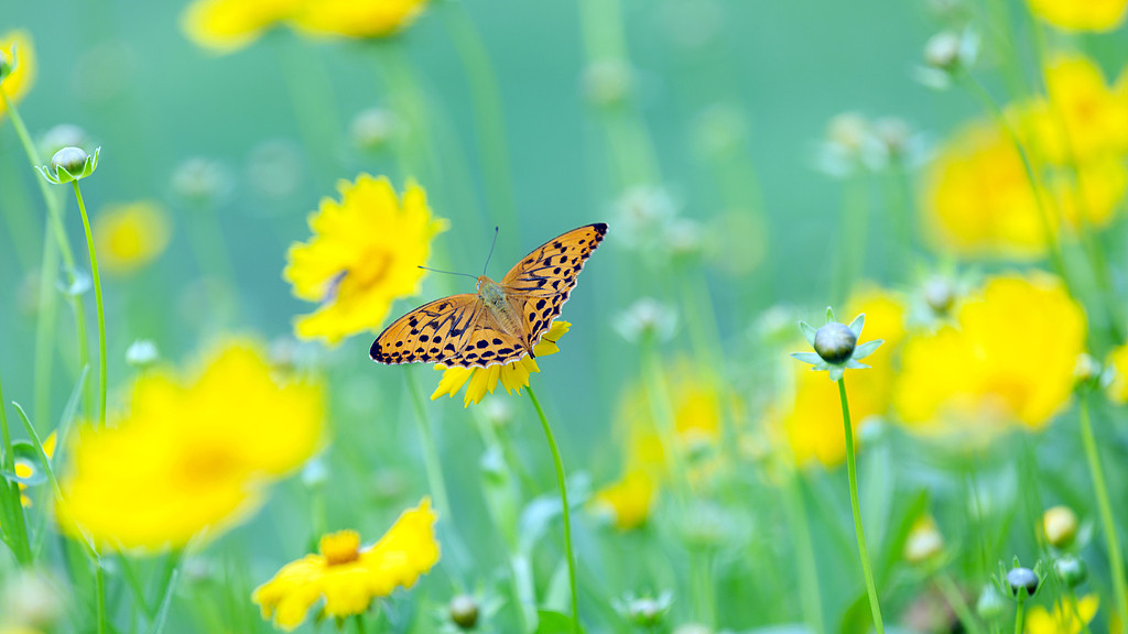 警惕被表象迷惑，全力探寻事物本质，于生活挑战中收获智慧成长