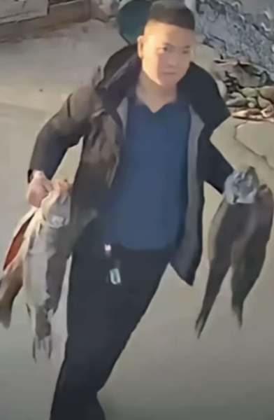 丢人丢大了！一开大奔的男子路过一户人家时，发现这户人家家门口晒了几条大鱼，随即男