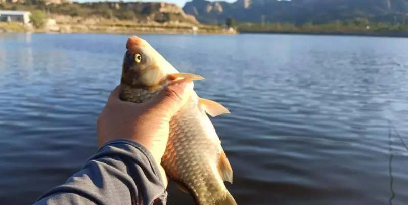 历史上真的有“不要给皇上吃不能稳定出产的东西”这回事吗？网友道出真相

1. 朱