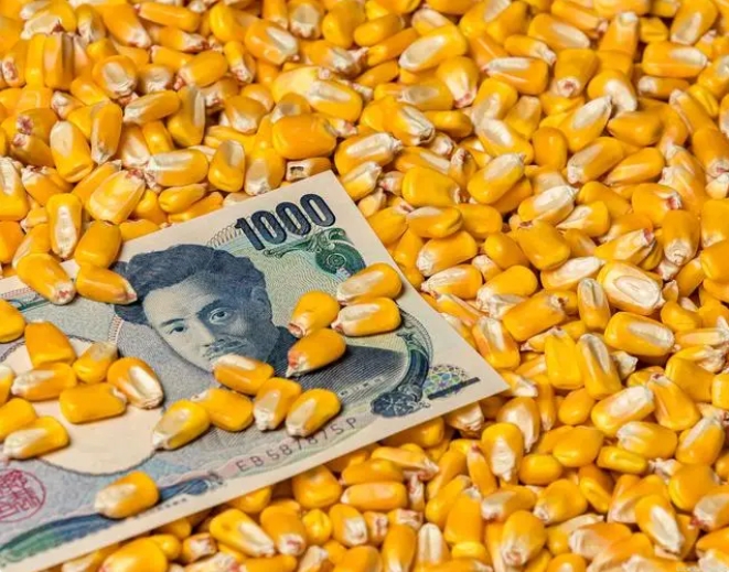 进口粮食肯定是因为我们缺粮，不缺粮还进口，那会造成农民手里的粮食卖不出去。

因