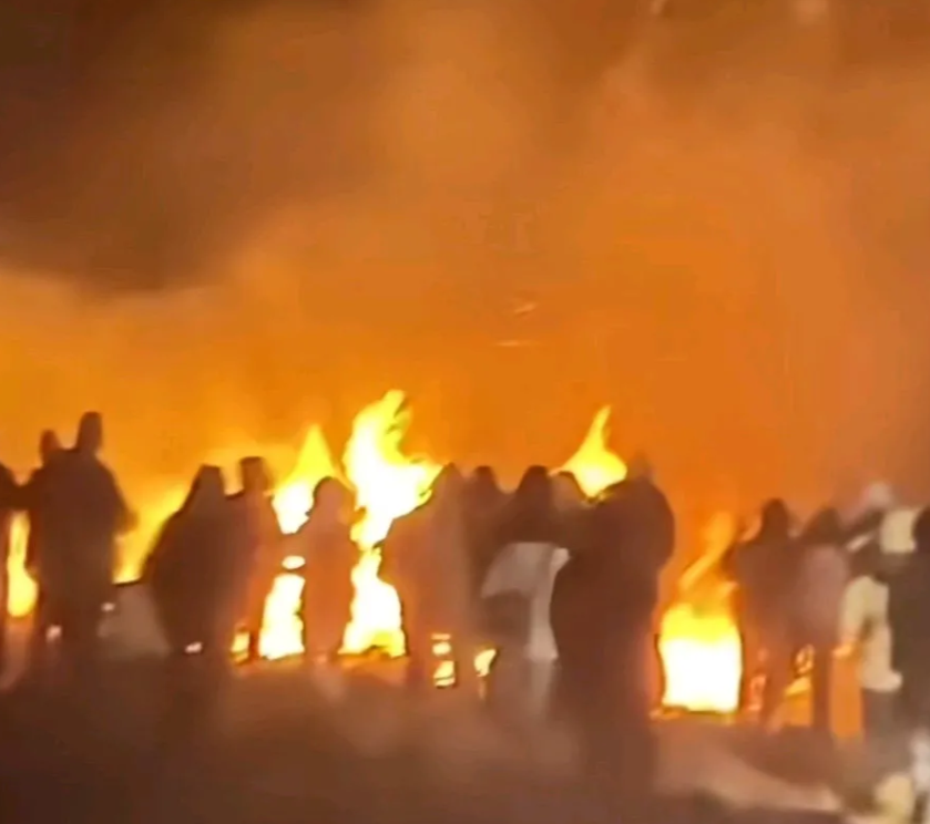 昆明大牯山日出云海爆火后，游客竟半夜纵火烧山，照这样烧野杜鹃要被烧光
高山杜鹃国