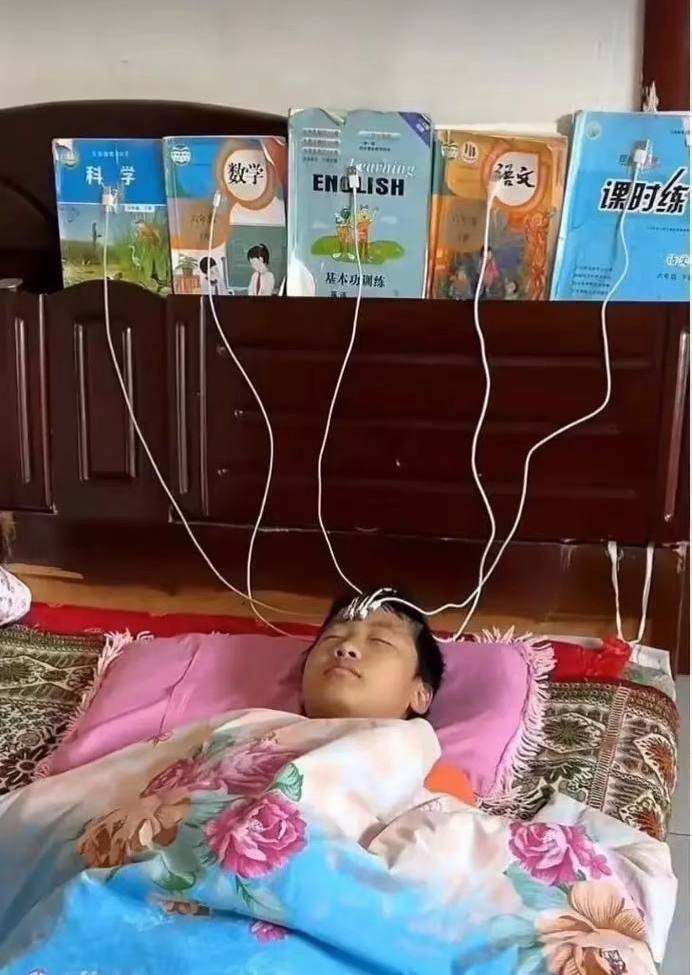 知识进入脑袋里