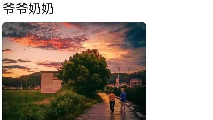 你拍到的自己最满意的照片是什么？网友：太有意境了