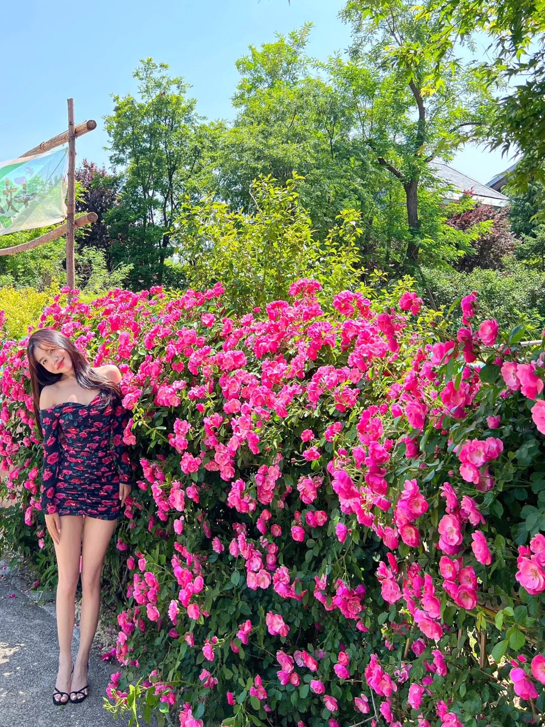 接下来的青岛！每个月都美到不像话！！🪸🌼💭
青岛的春天！
真的美到不像话！