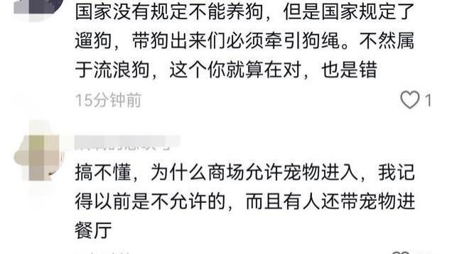 商场爆发“狗咬人”事件！女主人冷漠回应，爸爸怒摔泰迪泄愤！
