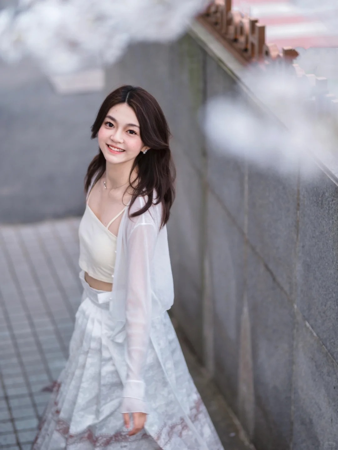 同济🌸｜樱花树下站谁都美