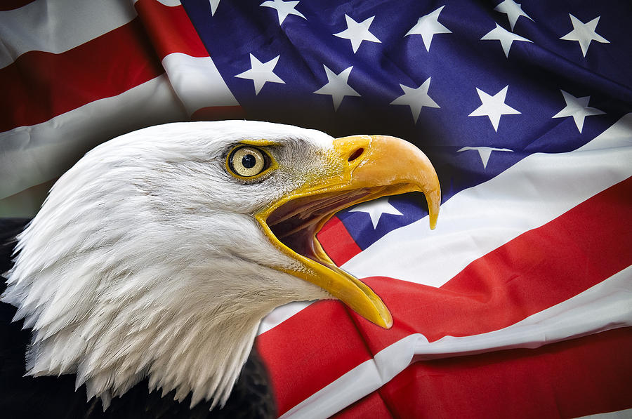 4月15日，美国官员对外表示，拜登政府不会阻止以色列反击伊朗，只会提出美方的看法