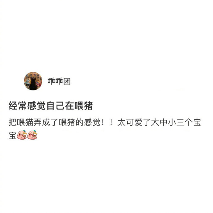 喂猫的时候经常感觉自己在喂猪