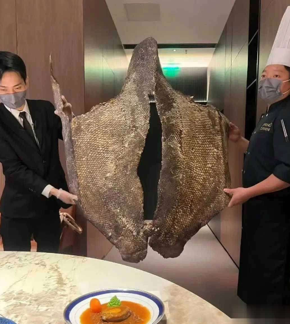 去吃饭饭店隆重推荐了他们的镇店之宝有认识这是啥东西的吗？