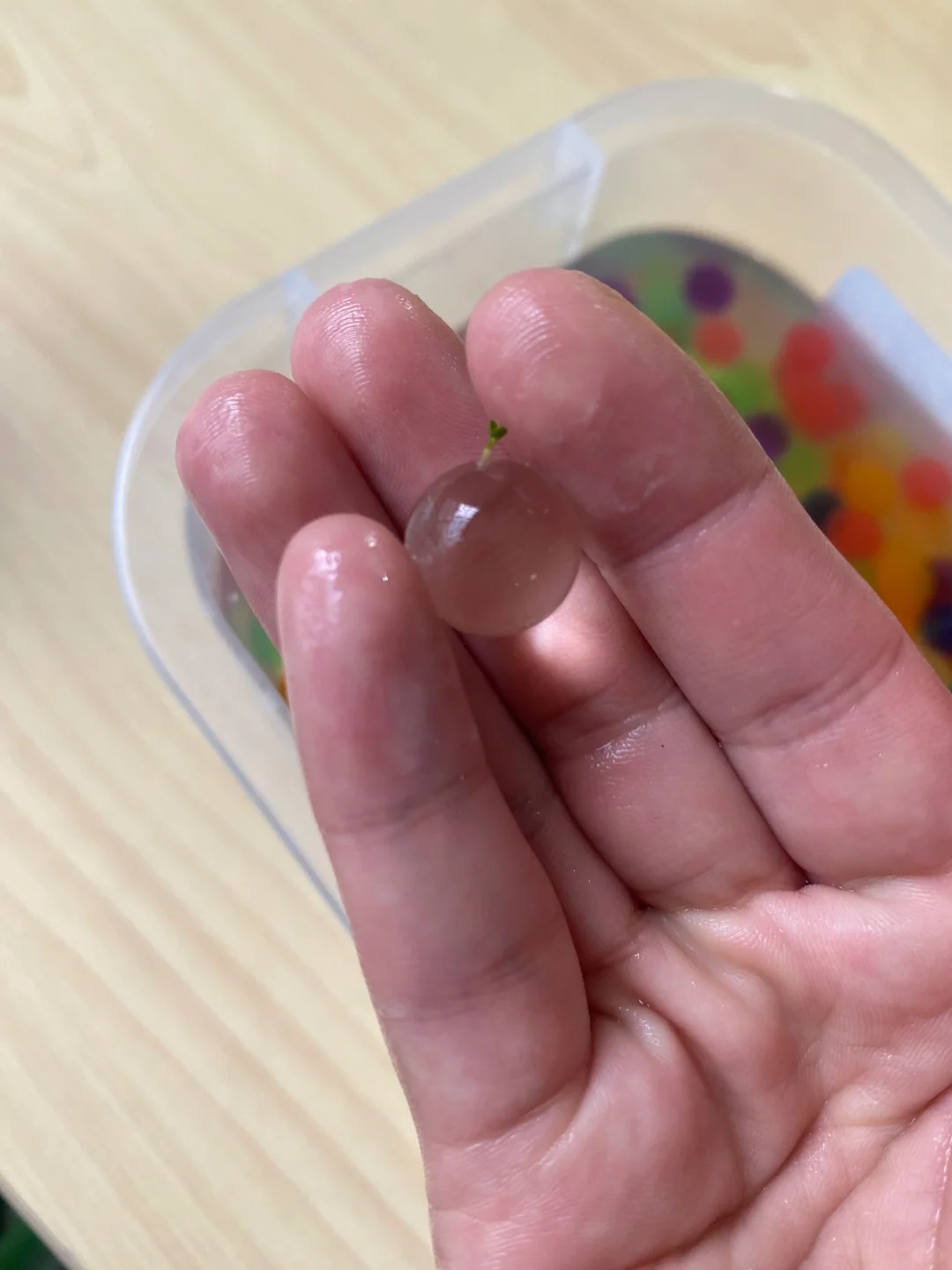 水宝宝发芽了！客服都说是第一次见！惊呆了！
太搞笑了吧！20多岁了，头一次遇见！