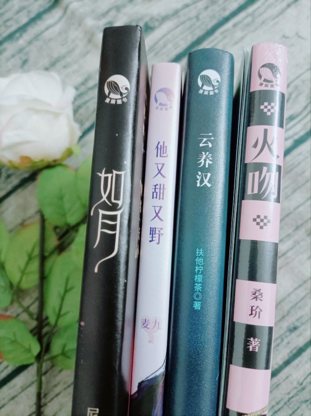 漫娱文化的小说