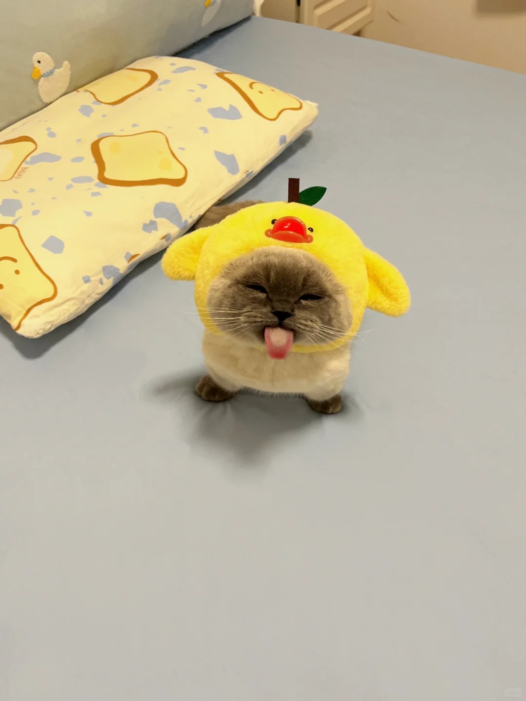 这是什么草？路边摘的