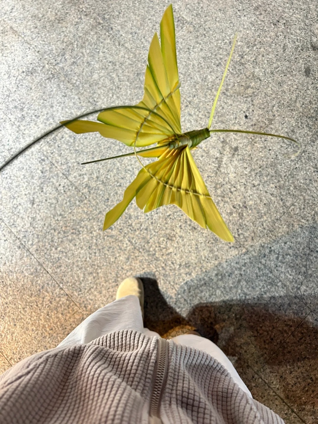 5元一个居然没人要
线下碰到了非遗草编，那位师傅编出来的草编贼精致，我问他要多久