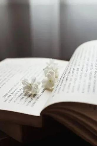 有人说，中年之后，整个人变了一个模样，变得“独”了。这个“独”，是孤独，也是一个
