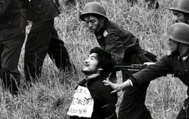 1990年3月的一天，曾猖狂一时的重案犯魏振海迎来了人生中的最后一刻，因为他即将