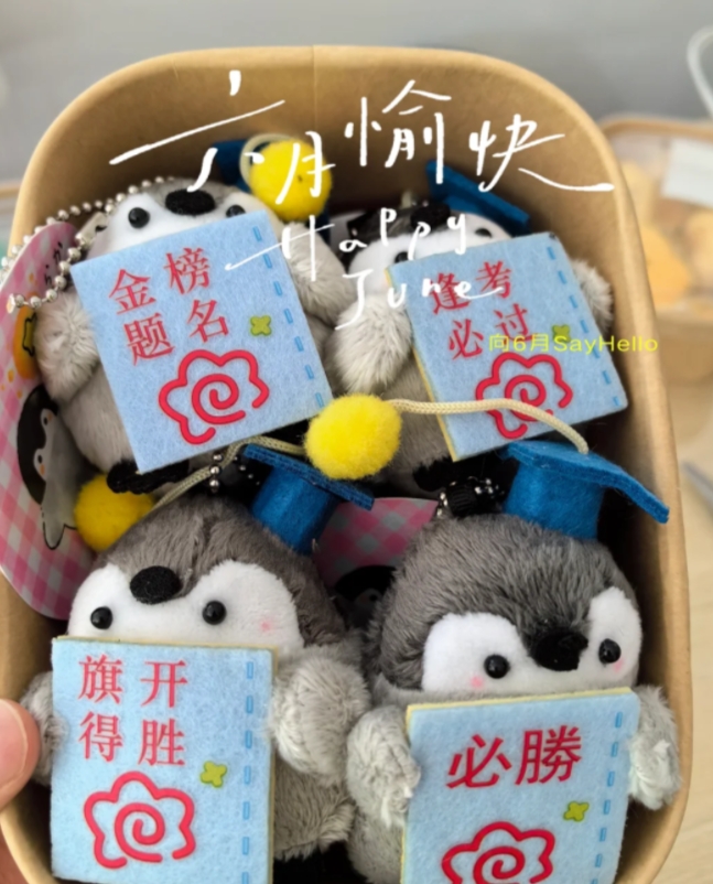 我军校毕业之后在基层当排长一年半，就经历了两任连长，第一任连长是山东人，北京装甲