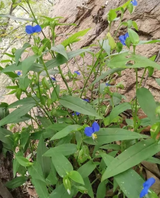 朋友的老爸今年68岁，年纪不大，却非要吵着去住养老院。见儿子女儿不同意，他还一个