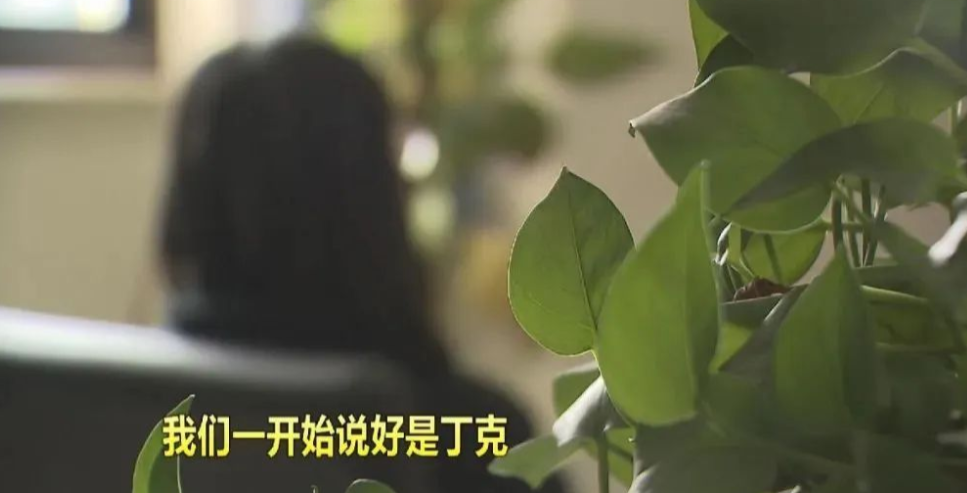 2023年，上海，一对夫妻婚前承诺丁克，20年并未生孩子，然而丈夫竟瞒着妻子出轨