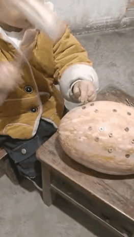 大家说说，我是先打还是先教育。[捂脸][捂脸][捂脸][捂脸]