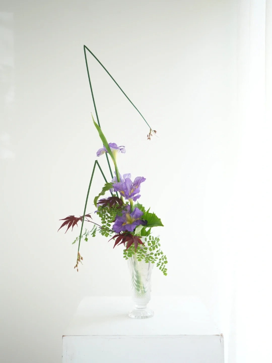 初夏的鸢尾花
鸢尾花又名lris，“爱丽丝”。
爱丽丝在希腊神话中是彩虹女神，
