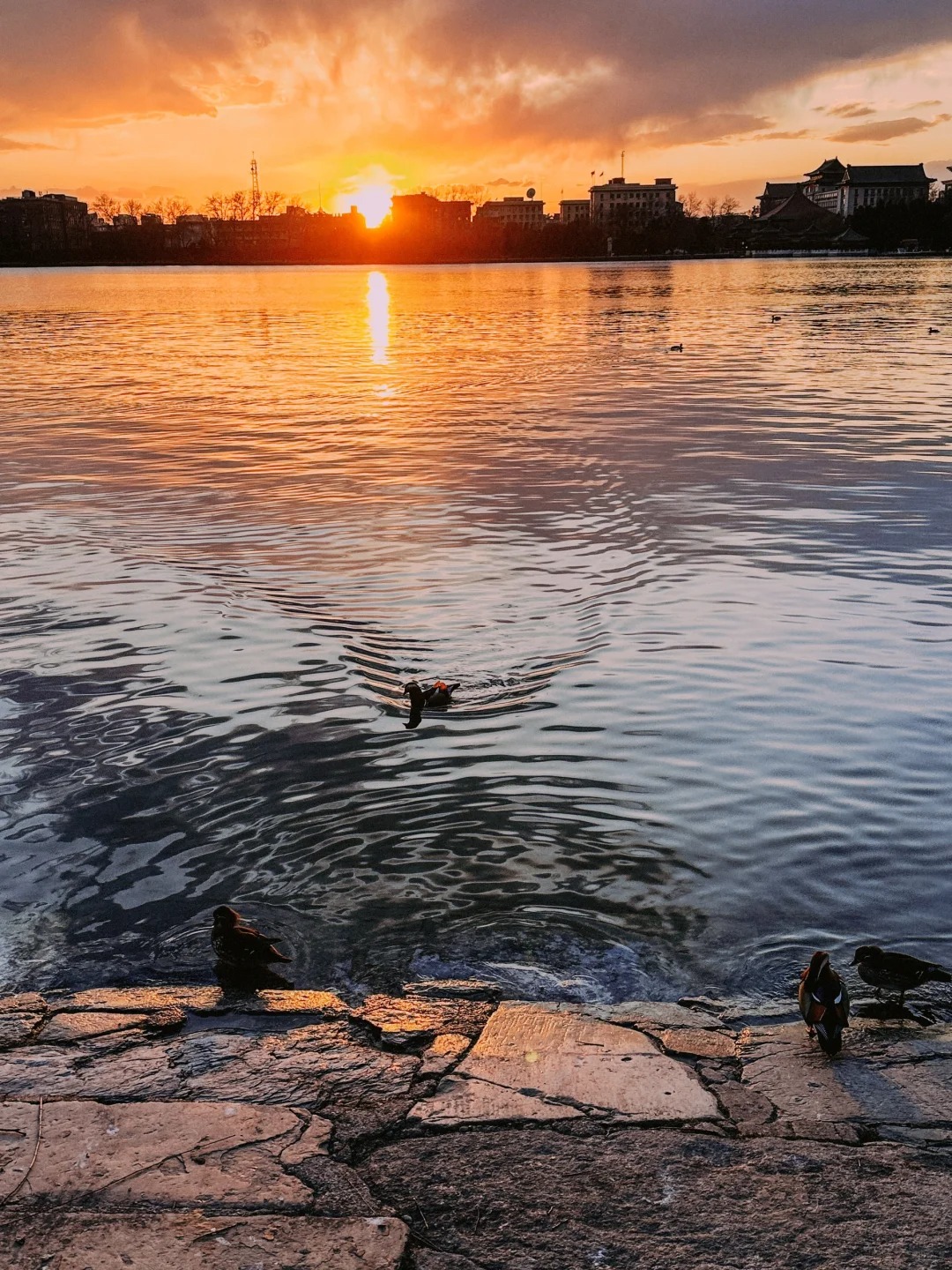 不愧是北京能量最强的公园✨
朋友说有个大师告诉她运势低迷的时候可以去北海公园呆一