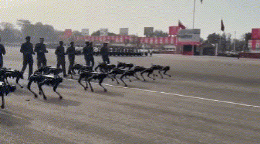 什么都要跟中国比？印度阅兵搬出机器狗，中国网友看完笑了！

看着中国机械战犬在高