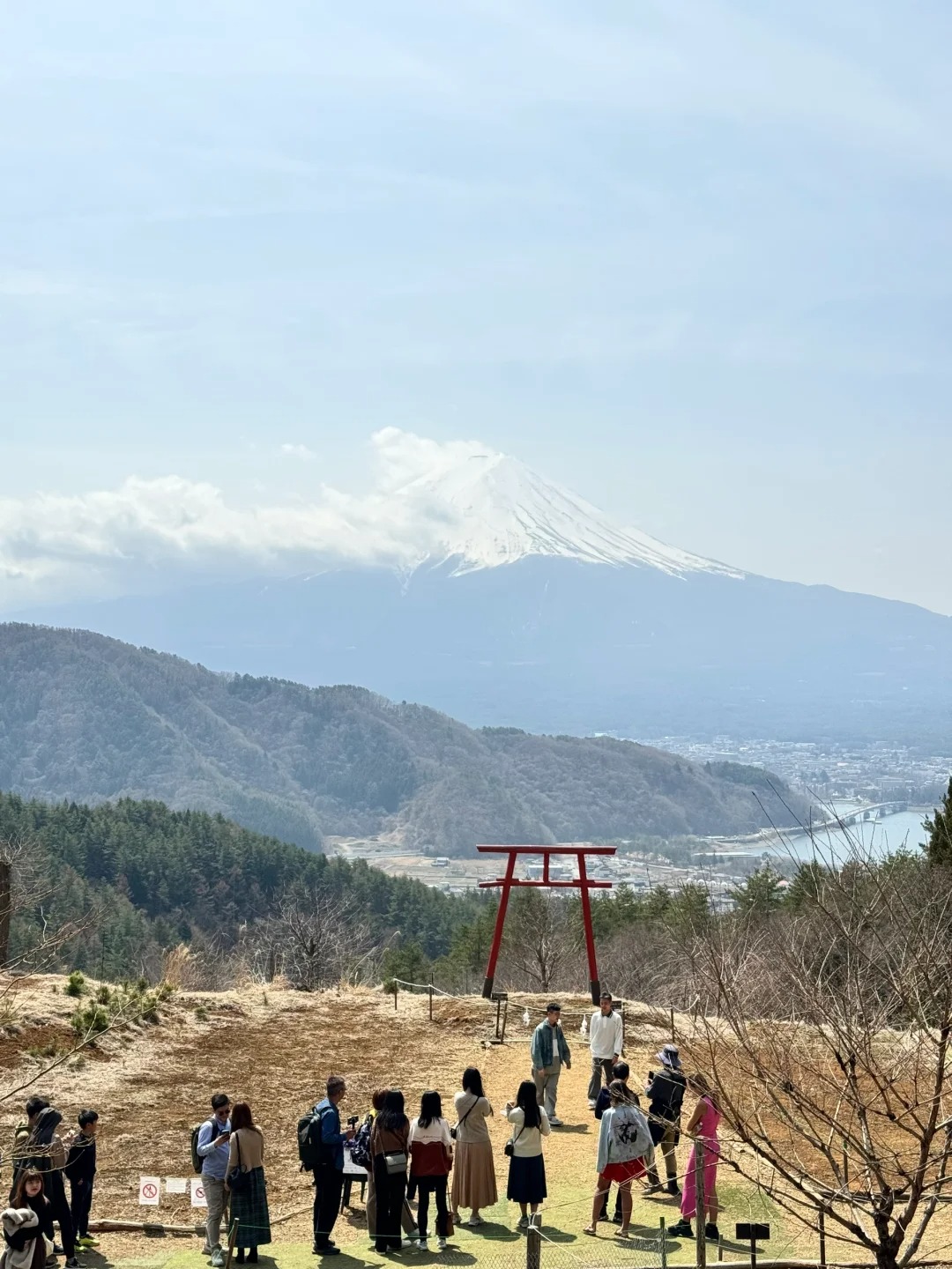 日本人有属于自己的网骗景点
爬上来血条空了😇
感觉上山路上有花粉，鼻炎患者崩溃