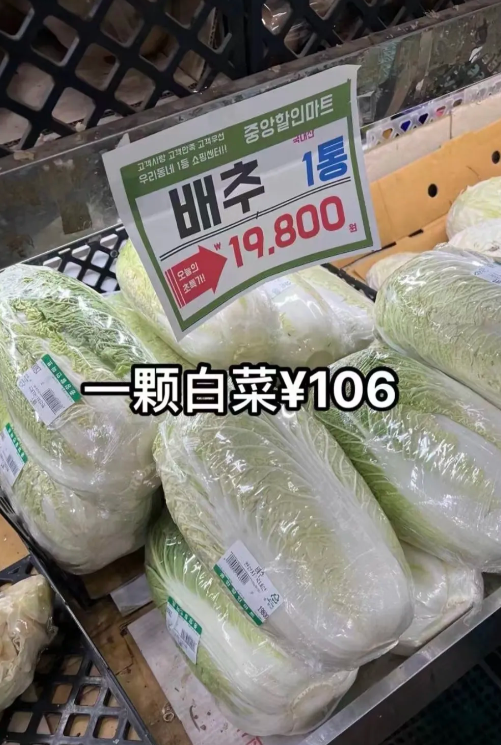 “涨价两倍，爱买不买！”倒反天罡！2024年，韩国因白菜供应不足，纷纷向中国求助