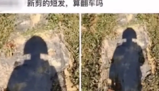今天刚去剪的新发型，这样子算翻车吗？哈哈哈[哈哈笑][哈哈笑][哈哈笑]
