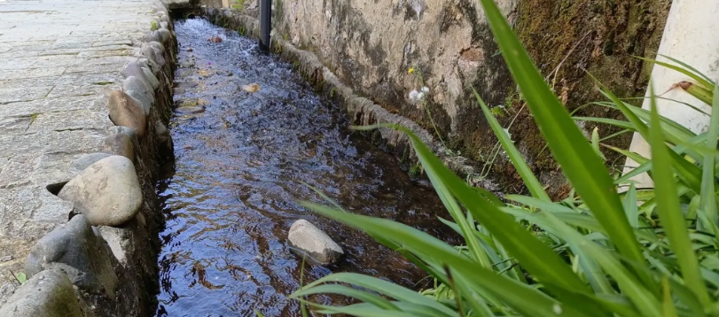 我不知道是哪位神仙发明了公开课，就像一群人看着你洗澡，最后再告诉你哪里洗的不干净