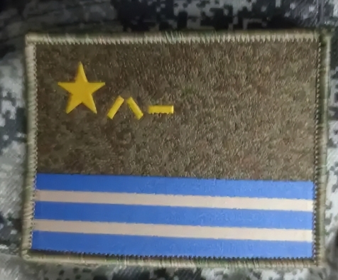 迷彩服上的低可视度国旗是否违反国旗法？

这么说吧，他们那肩章“五星绿旗”都不算